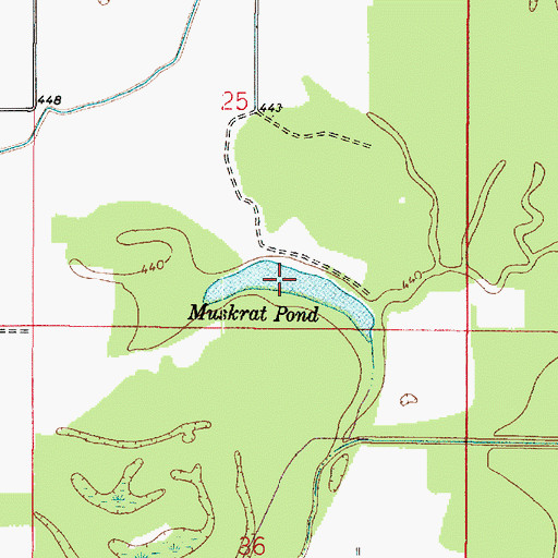 Topographic Map of Muskrat Pond, IN
