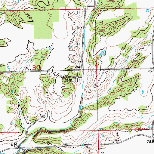 Topographic Map of Nelson Cemetery, IN