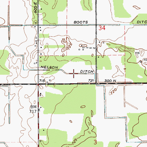 Topographic Map of Nelson Ditch, IN
