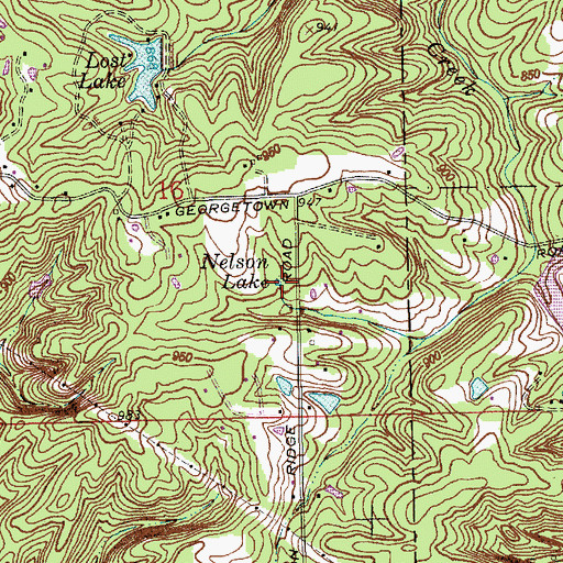 Topographic Map of Nelson Lake, IN
