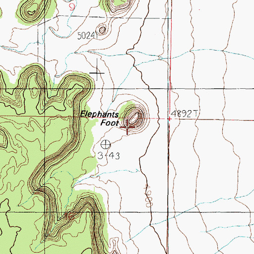 Topographic Map of Elephants Foot, AZ