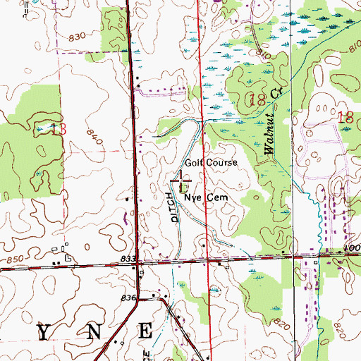 Topographic Map of Nye Cemetery, IN