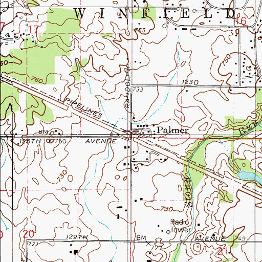 Topographic Map of Palmer, IN