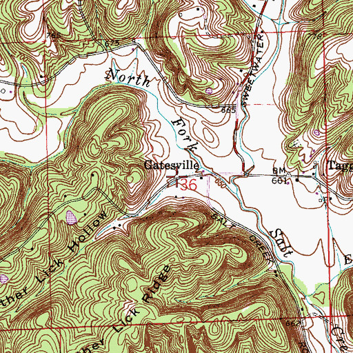Topographic Map of Panther Lick Hollow, IN