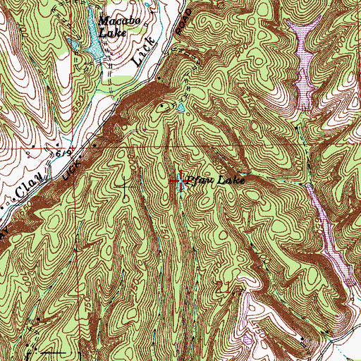 Topographic Map of Pfau Lake, IN