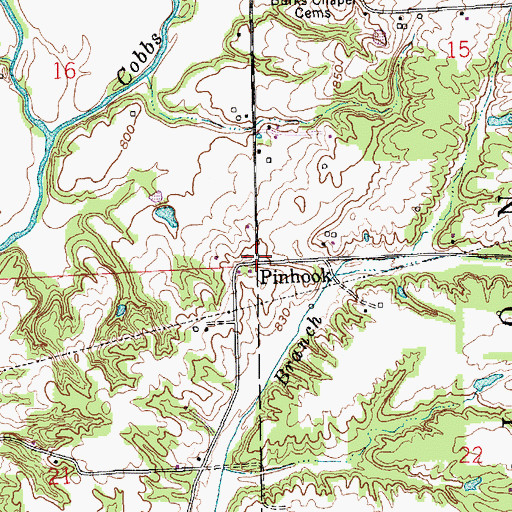 Topographic Map of Pinhook, IN