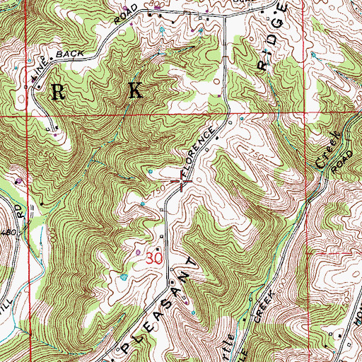 Topographic Map of Pleasant Ridge, IN