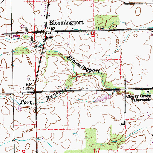 Topographic Map of Port Run, IN