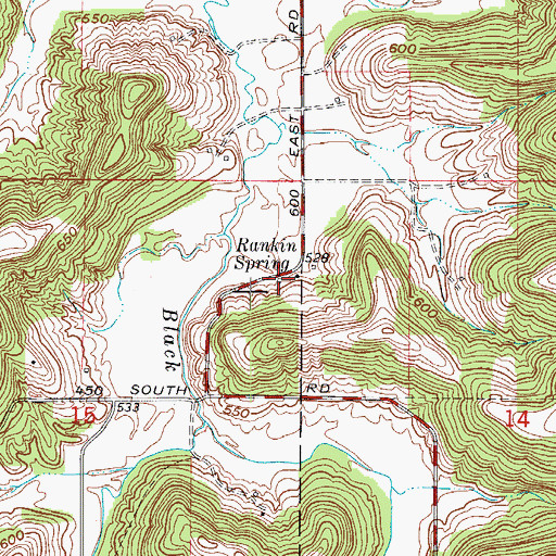 Topographic Map of Rankin Spring, IN