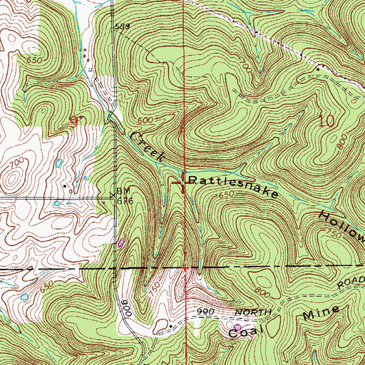 Topographic Map of Rattlesnake Hollow, IN