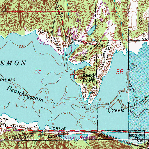 Topographic Map of Reed Point, IN