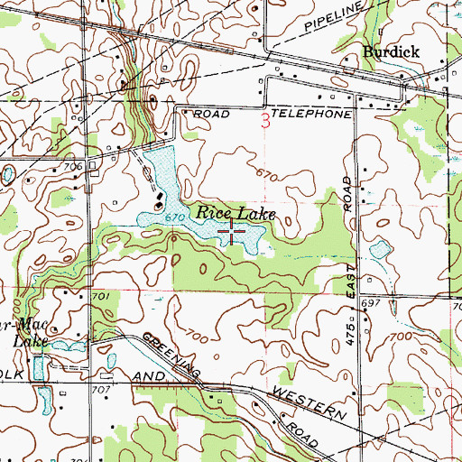 Topographic Map of Rice Lake, IN