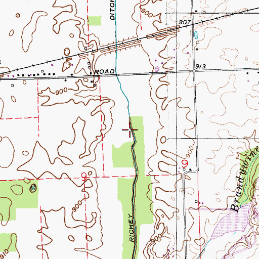 Topographic Map of Richey Ditch, IN