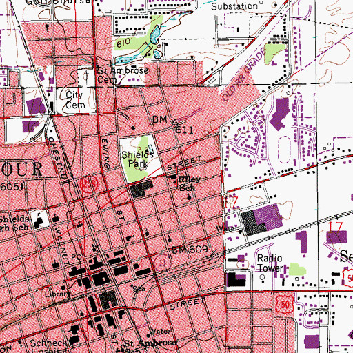 Topographic Map of Riley School, IN