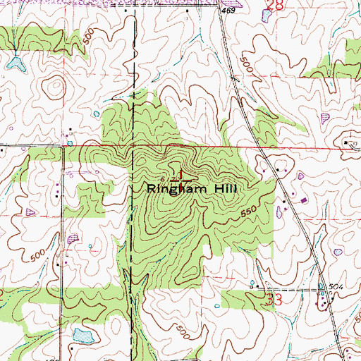 Topographic Map of Ringham Hill, IN