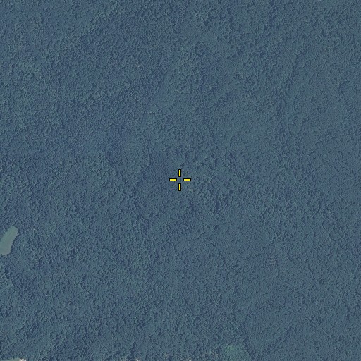 Aerial/Satellite Image of Round Knob, IN