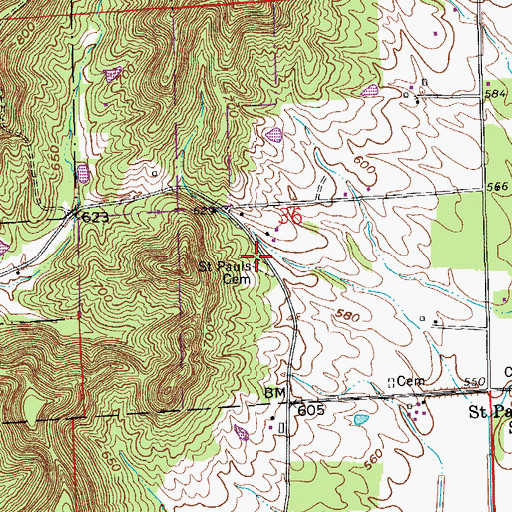 Topographic Map of Saint Pauls Cemetery, IN