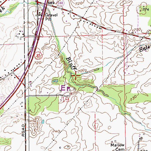 Topographic Map of Salem Brook, IN