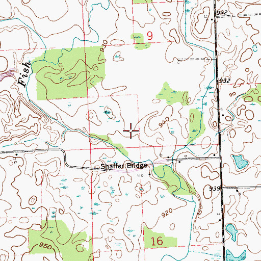 Topographic Map of Shaffer Bridge, IN