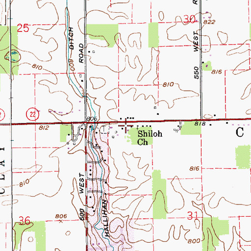 Topographic Map of Shiloh Church, IN