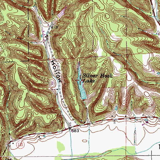 Topographic Map of Silver Hook Lake, IN