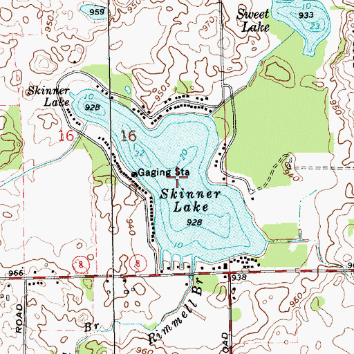 Topographic Map of Skinner Lake, IN