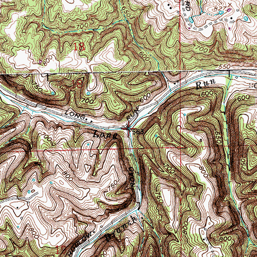 Topographic Map of Spring Branch, IN