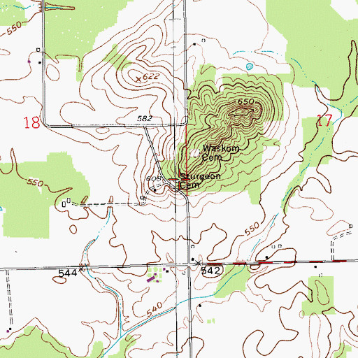 Topographic Map of Sturgeon Cemetery, IN