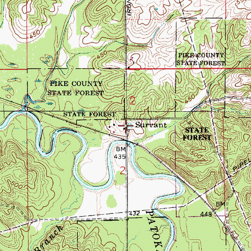 Topographic Map of Survant, IN