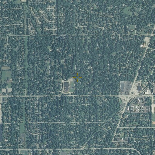 Aerial/Satellite Image of Sylvian Branch, IN