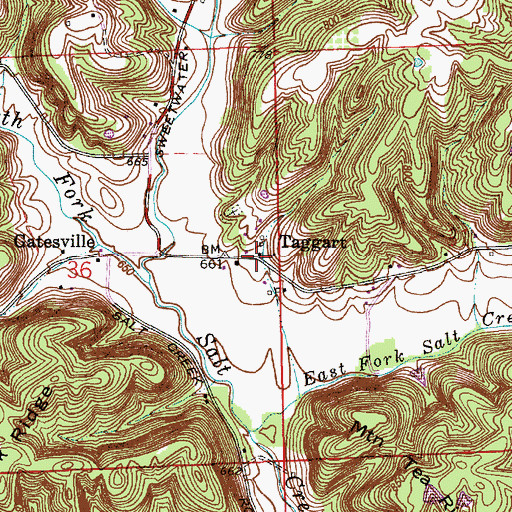 Topographic Map of Taggart, IN