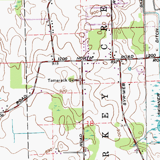 Topographic Map of Tamarack Cemetery, IN