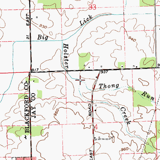 Topographic Map of Thong Run, IN