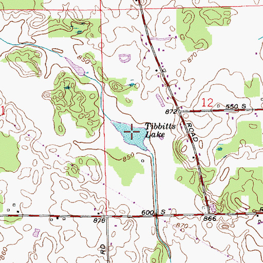 Topographic Map of Tibbitts Lake, IN