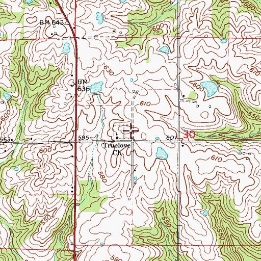 Topographic Map of Truelove Church, IN