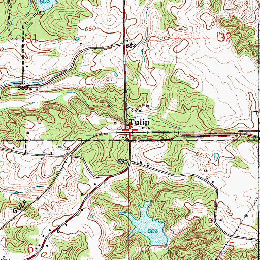 Topographic Map of Tulip, IN