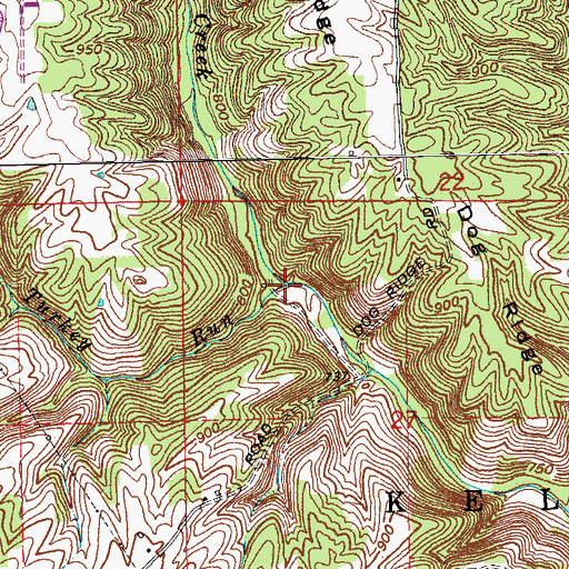 Topographic Map of Turkey Run, IN