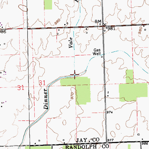 Topographic Map of Vale Run, IN