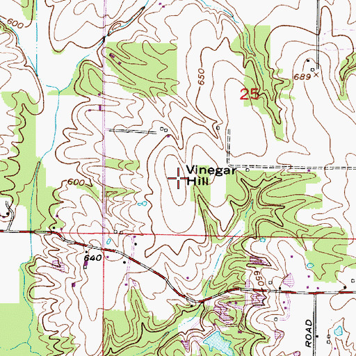 Topographic Map of Vinegar Hill, IN