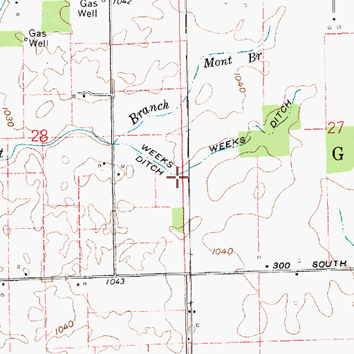 Topographic Map of Weeks Ditch, IN