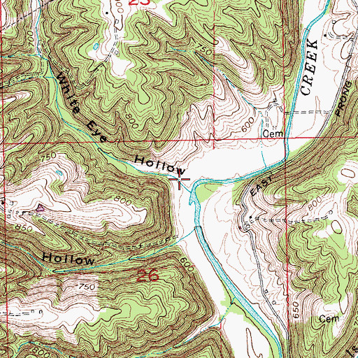 Topographic Map of White Eye Hollow, IN