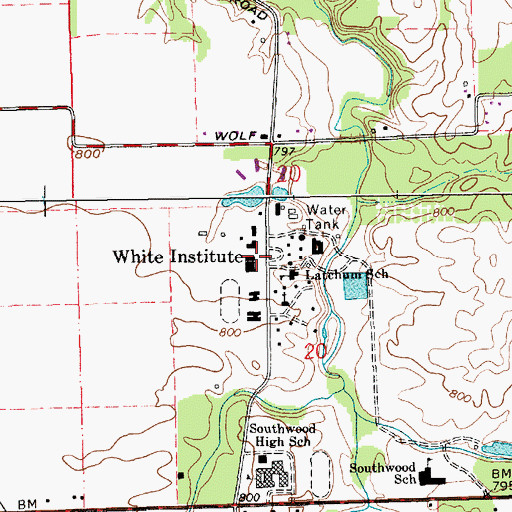 Topographic Map of White Institute, IN