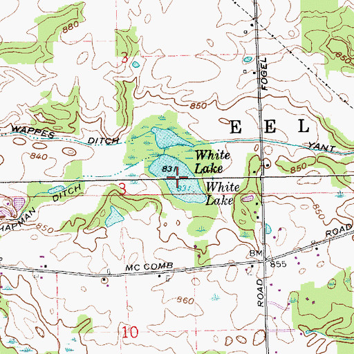 Topographic Map of White Lake, IN
