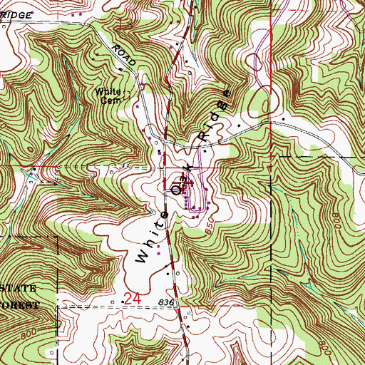 Topographic Map of White Oak Ridge, IN