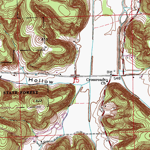 Topographic Map of Winslow Hollow, IN