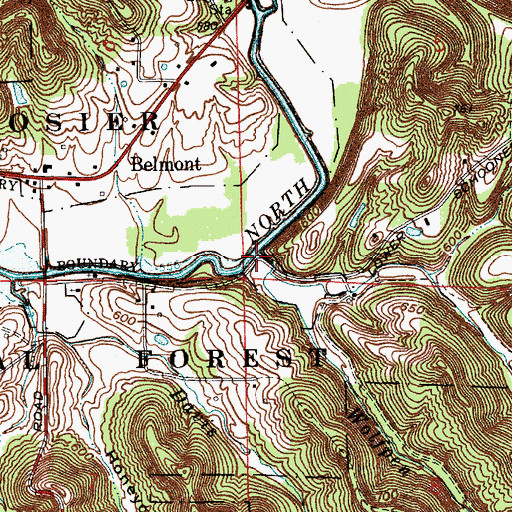 Topographic Map of Wolfpen Branch, IN