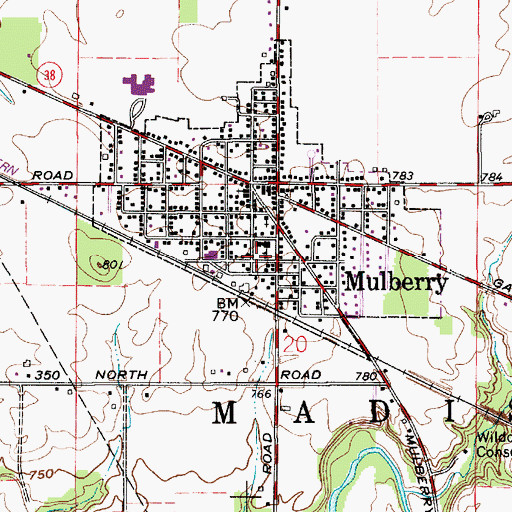 Topographic Map of Mulberry Elementary School, IN