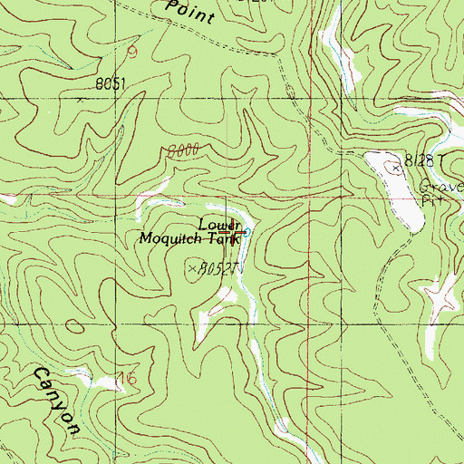 Topographic Map of Lower Moquitch Tank, AZ