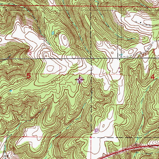 Topographic Map of Bluegill Pond, IN