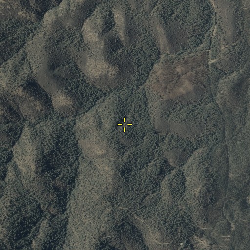 Aerial/Satellite Image of Smith Spring, AZ